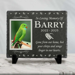 In Loving Memory - Personalized Memorial Stone Pet Loss Gifts