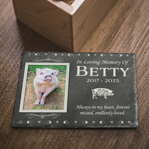 In Loving Memory - Personalized Memorial Stone Pet Loss Gifts